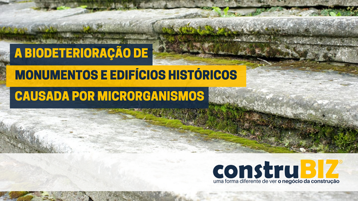 A BIODETERIORAÇÃO DE MONUMENTOS E EDIFÍCIOS HISTÓRICOS CAUSADA POR MICRORGANISMOS